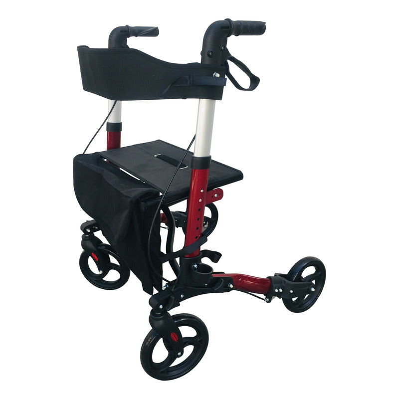 Andadera Rollator Estilo Europeo Ortiz