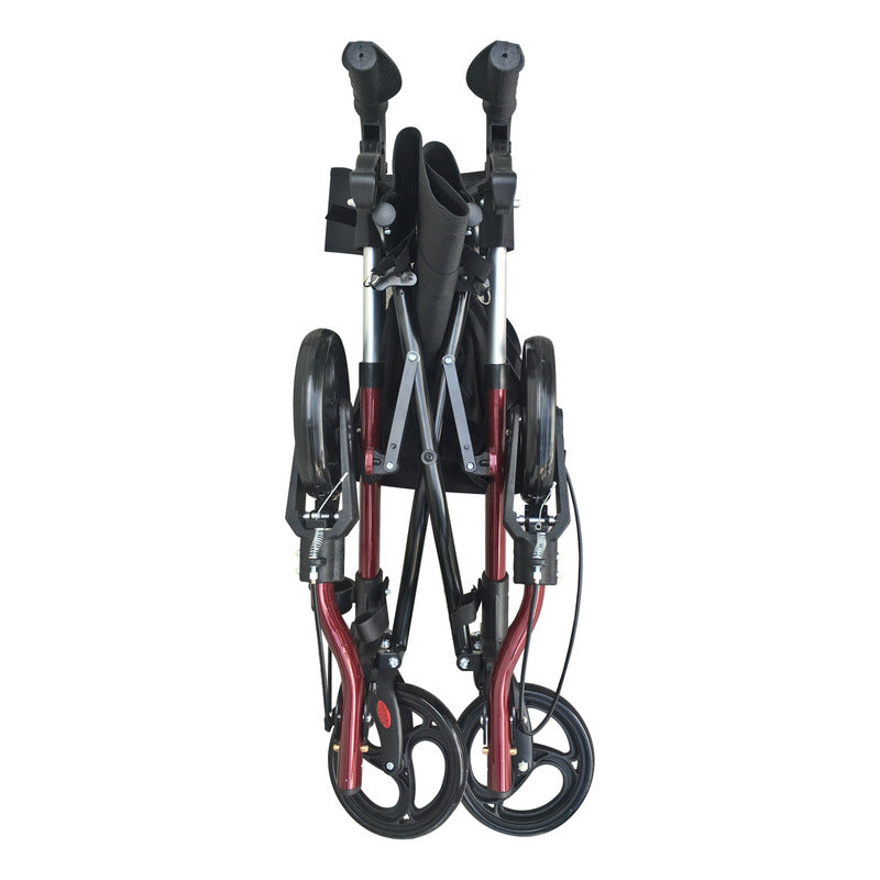 Andadera Rollator Estilo Europeo Ortiz