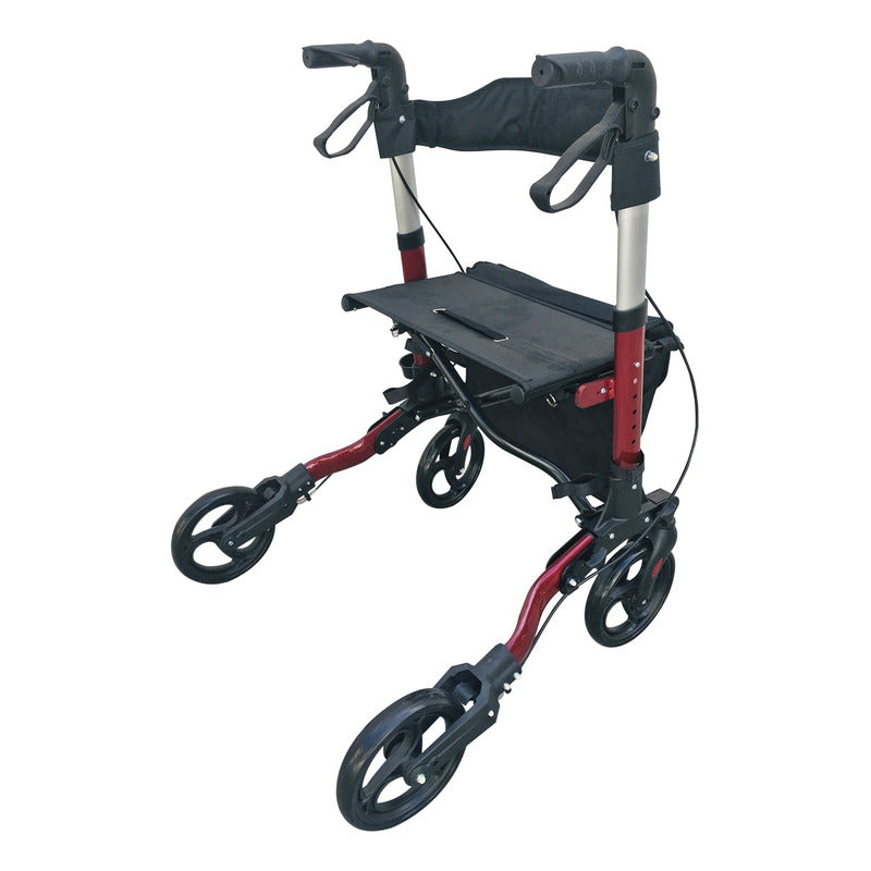 Andadera Rollator Estilo Europeo Ortiz