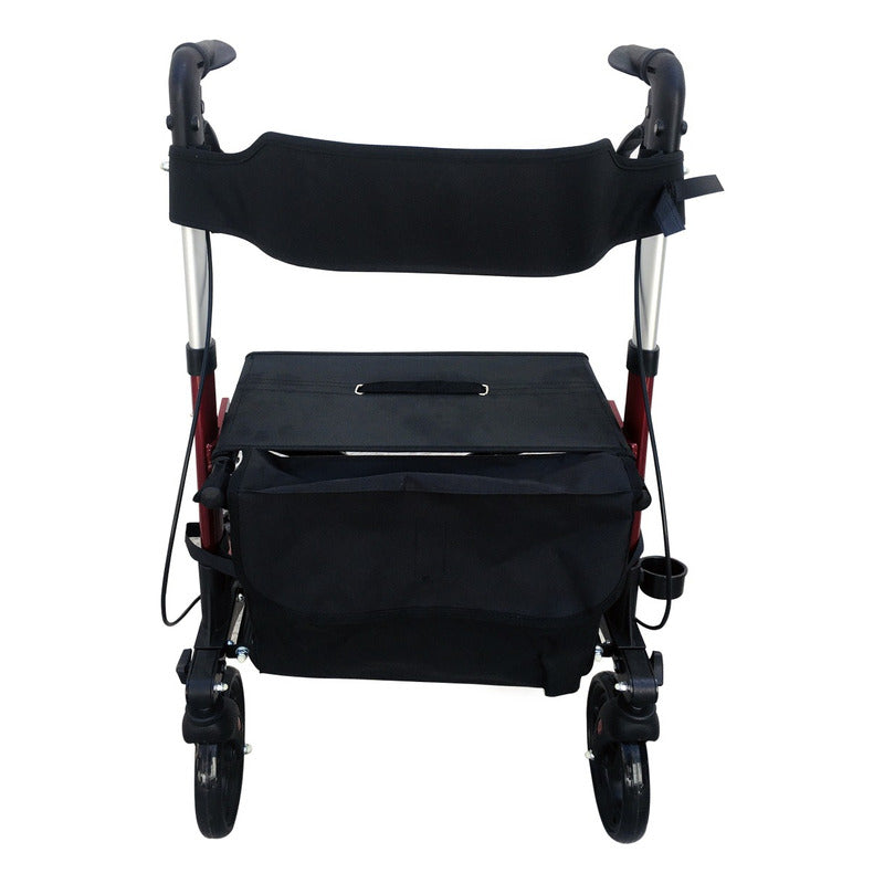Andadera Rollator Estilo Europeo Ortiz